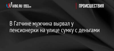 В Гатчине мужчина вырвал у пенсионерки на улице сумку с деньгами - ivbg.ru - Россия - Украина - Ленинградская обл.