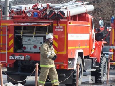 Мужчина погиб на пожаре в Вознесенском районе - vgoroden.ru - Россия - Нижегородская обл. - район Вознесенский