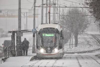 Первый зимний день в Москве стал самым снежным за последние пять лет - vm.ru - Москва
