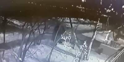 В Чите за месяц до Нового года у администрации украли наряженную елку - ruposters.ru - Чита - район Железнодорожный