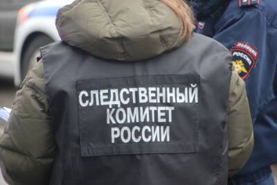 Суд оставил под стражей подростка, напавшего в Твери на следователя - afanasy.biz - Россия - Тверь - Следственный Комитет