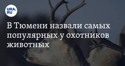 В Тюмени назвали самых популярных у охотников животных - ura.news - Тюмень - Тюменская обл.