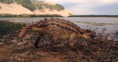 Во всеоружии. Палеонтологи нашли новый вид динозавра с "дубинкой" вместо хвоста (фото) - focus.ua - Украина - Чили