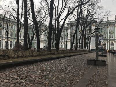 Эрмитаж стал бесплатным для людей с инвалидностью и малолетних - rosbalt.ru - Санкт-Петербург - район Центральный, Санкт-Петербург