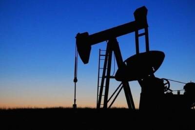 Страны ОПЕК+ сохранили план по росту добычи нефти в январе - mk.ru - Россия