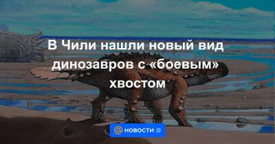 В Чили нашли новый вид динозавров с «боевым» хвостом - news.mail.ru - Чили