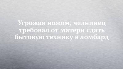 Угрожая ножом, челнинец требовал от матери сдать бытовую технику в ломбард - chelny-izvest.ru - Россия - Набережные Челны
