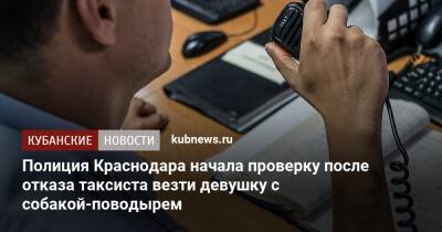 Полиция Краснодара начала проверку после отказа таксиста везти девушку с собакой-поводырем - kubnews.ru - Краснодарский край - Краснодар
