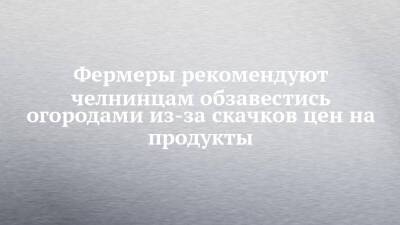 Фермеры рекомендуют челнинцам обзавестись огородами из-за скачков цен на продукты - chelny-izvest.ru - Набережные Челны