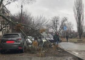 Антивакцинаторы, прикрываясь благословением УПЦ МП, призывают бросать дом и работу - rupor.info - Москва - Винницкая обл.