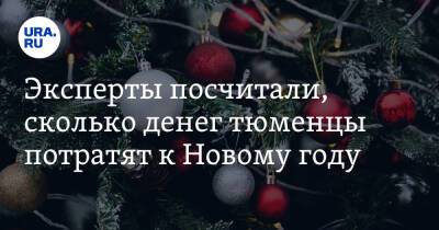 Эксперты посчитали, сколько денег тюменцы потратят к Новому году - ura.news - Россия - Тюмень - Тюменская обл.