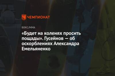 Александр Емельяненко - Артур Гусейнов - «Будет на коленях просить пощады». Гусейнов — об оскорблениях Александра Емельяненко - championat.com - Россия - респ. Дагестан
