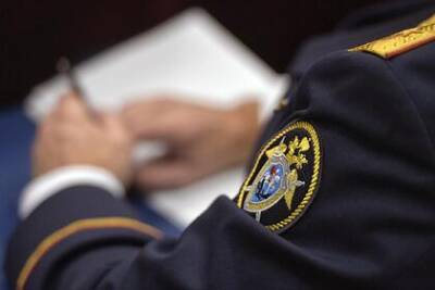 Михаил Мурашко - Глава Минздрава сдал Следственному комитету мошенника - lenta.ru - Россия