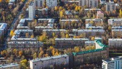 Теплицы в российских жилых домах оснастят ульями для шмелей - vm.ru - Москва - Россия - Самара