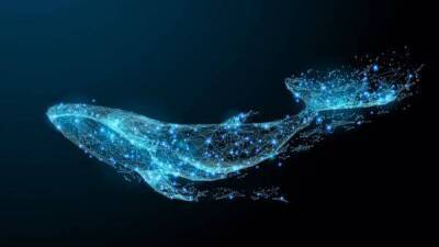 Трансферы биткойн-китов размером с монстра: парсер блокчейна улавливает значительные количества “ холодных биткойнов '', перемещенных на активные биржи - smartmoney.one - Santiment
