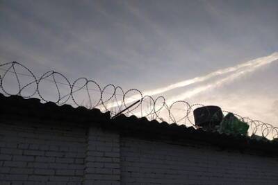 Из российской колонии сбежал заключенный - lenta.ru - Россия - Самарская обл.