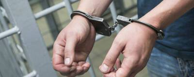 Полиция Москвы задержала мужчину, подозреваемого в убийстве жены и тещи - runews24.ru - Москва