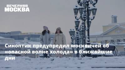 Роман Вильфанд - Синоптик предупредил москвичей об «опасной волне холода» в ближайшие дни - vm.ru - Москва - Россия - Москва