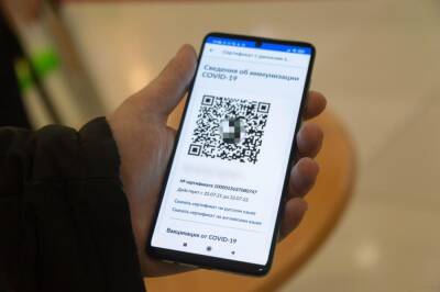 Густаво Зырянов - В Новосибирске начали действовать QR-коды для парикмахерских и саун - sib.fm - Новосибирск - Новосибирская обл.