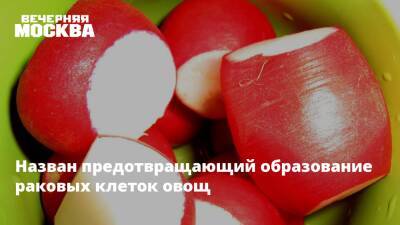 Назван предотвращающий образование раковых клеток овощ - vm.ru