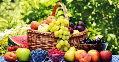 Россия ограничила поставки фруктов и овощей из Турции из-за пестицидов - ren.tv - Россия - Египет - Турция - Иран