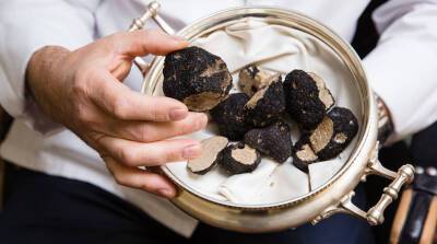 Разбираемся, почему весь мир в восторге от деликатесных грибов трюфелей - grodnonews.by - Италия - Белоруссия