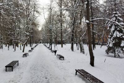 20 декабря в Саратовской области будет последний теплый день перед похолоданием - saratov.mk.ru - Саратовская обл.