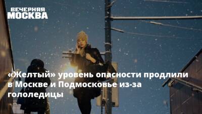 «Желтый» уровень опасности продлили в Москве и Подмосковье из-за гололедицы - vm.ru - Москва - Московская обл. - Москва
