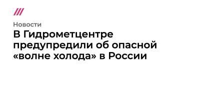 В Гидрометцентре предупредили об опасной «волне холода» в России - tvrain.ru - Москва - Россия - ЦФО - окр.Сзфо