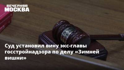 Никита Чередниченко - Суд установил вину экс-главы госстройнадзора по делу «Зимней вишни» - vm.ru - Кемерово