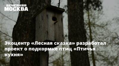 Экоцентр «Лесная сказка» разработал проект о подкормке птиц «Птичья кухня» - vm.ru - Москва - Москва