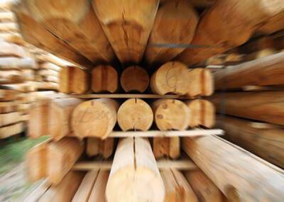 Экспорт леса и пиломатериалов из России вырос до рекордных $12,5 млрд - nakanune.ru - Россия - США - Канада