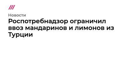 Роспотребнадзор ограничил ввоз мандаринов и лимонов из Турции - tvrain.ru - Россия - Турция - Иран
