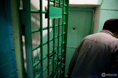 Павел Крашенинников - Госдума рассмотрит законопроект об ужесточении наказания за пытки в колониях - news.vse42.ru