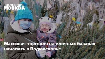 Сергей Воскресенский - Массовая торговля на елочных базарах началась в Подмосковье - vm.ru - Московская обл. - Подольск - Красногорск - Торговля
