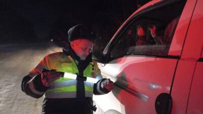 За три дня на Сахалине поймали 29 пьяных водителей - sakhalin.info - Сахалинская обл. - Синегорск