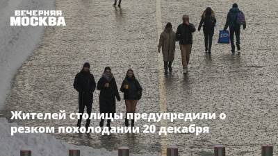 Александр Синенков - Жителей столицы предупредили о резком похолодании 20 декабря - vm.ru - Москва - Москва