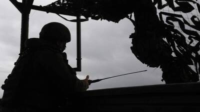 Константин Гаврилов - В России допустили военный ответ при наступлении НАТО на «больные точки» - iz.ru - Россия - Израиль - Вена