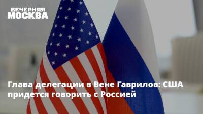 Сергей Рябков - Константин Гаврилов - Глава делегации в Вене Гаврилов: США придется говорить с Россией - vm.ru - Россия - США - Вена