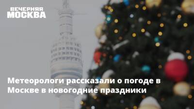 Петр Бирюков - Метеорологи рассказали о погоде в Москве в новогодние праздники - vm.ru - Москва - Москва