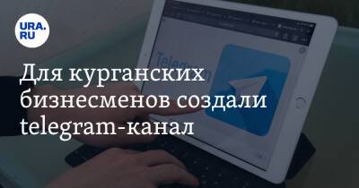 Для курганских бизнесменов создали telegram-канал - ura.news - Россия - Курганская обл. - Курган