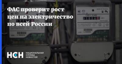 Виталий Королев - ФАС проверит рост цен на электричество по всей России - nsn.fm - Россия