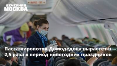 Пассажиропоток Домодедова вырастет в 2,5 раза в период новогодних праздников - vm.ru - Анапа - Сочи - Симферополь - Калининград - Минеральные Воды