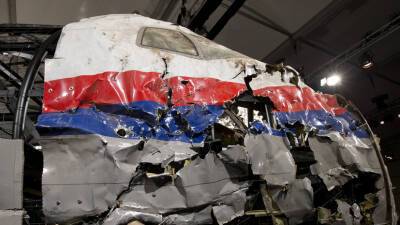 Хендрик Стинхейс - Суд в Гааге получил ещё три иска о компенсациях от родственников жертв крушения рейса MH17 - russian.rt.com - Украина - Голландия - Гаага