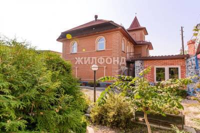 В Новосибирске продают замок-коттедж за 24 млн рублей - sib.fm - Новосибирск - район Заельцовский