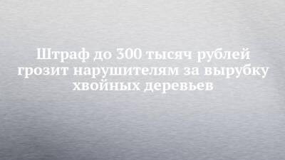 Штраф до 300 тысяч рублей грозит нарушителям за вырубку хвойных деревьев - chelny-izvest.ru - респ. Татарстан - Набережные Челны - район Тукаевский