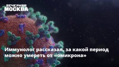 Владислав Жемчугов - Иммунолог рассказал, за какой период можно умереть от «омикрона» - vm.ru - Москва