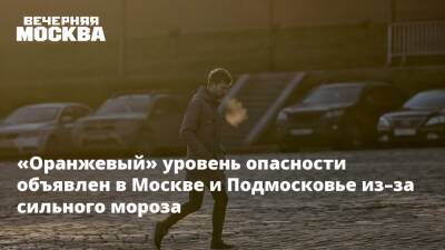 «Оранжевый» уровень опасности объявлен в Москве и Подмосковье из–за сильного мороза - vm.ru - Москва - Россия - Московская обл. - Москва