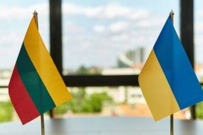 Владимир Зеленский - Арвидас Анушаускас - Литва пообещала Украине летальное оружие - interaffairs.ru - Россия - Украина - Германия - Литва
