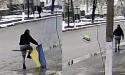 Неадекват на камеру поиздевался над флагом Украины: "выбросил на дорогу" - dnepr.politeka.net - Украина - Днепропетровская обл.